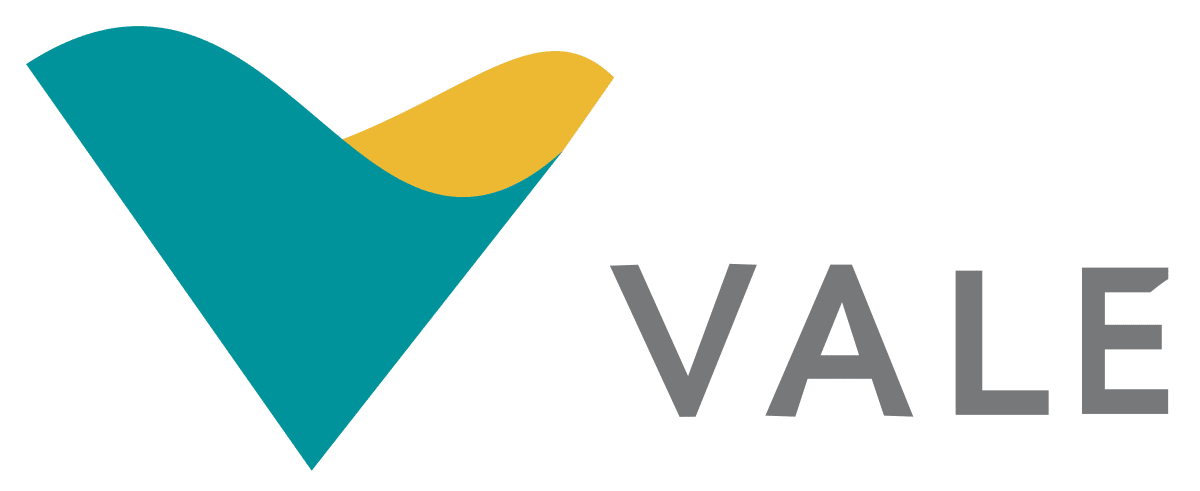 Vale aandelen kopen